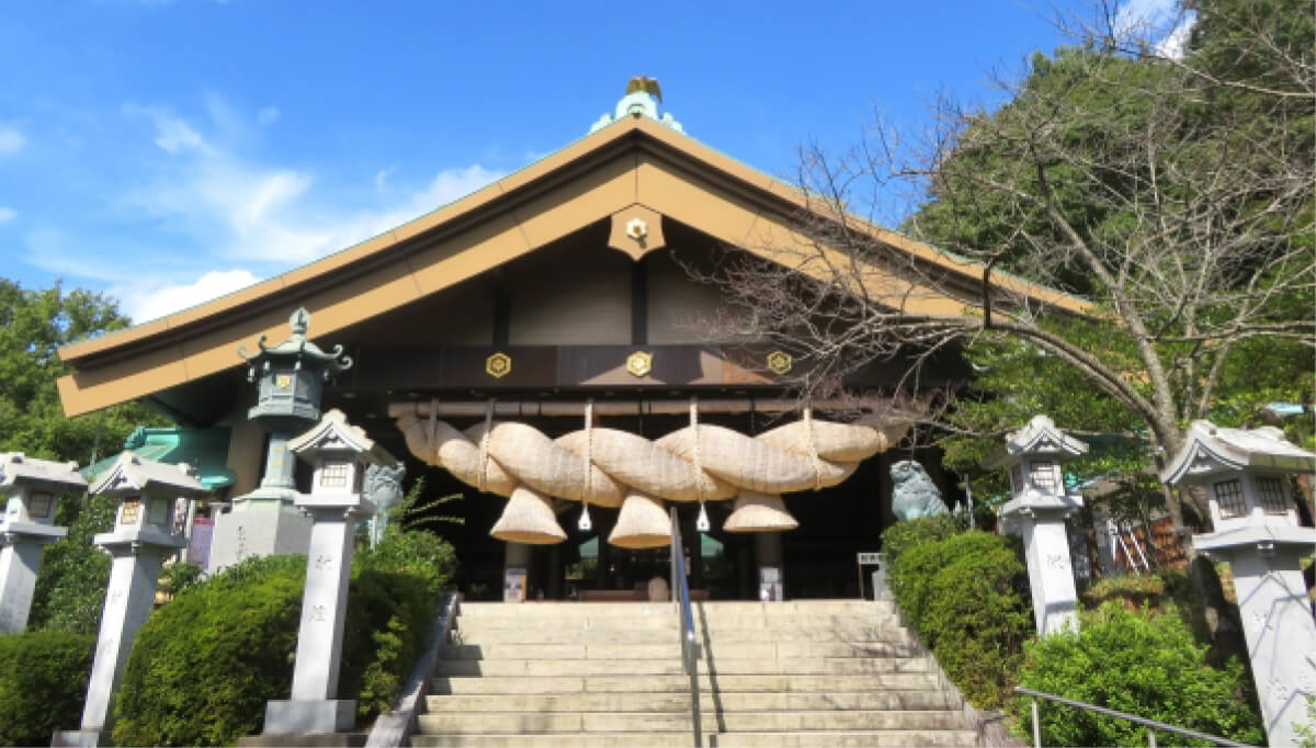 大人女子の楽しい栗拾い体験