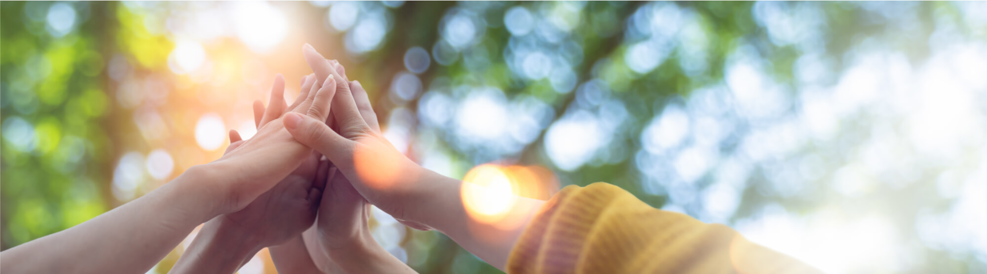 専門スタッフによるサポート